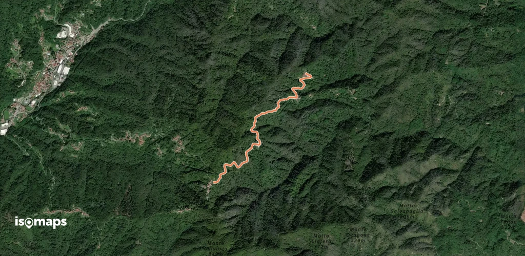 OSM Route 12875950
