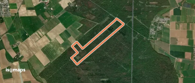 Rundwanderweg Gernsheim Stockweg 3: Veneluth-Schneisen-Weg