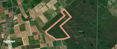 Rundwanderweg Gernsheim Stockweg 5: Winkelbach-Weg