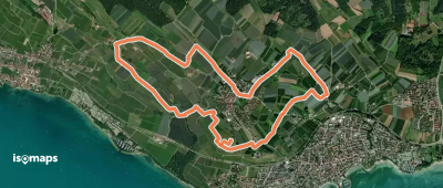 Apfel- und Weinspazierweg Immenstaad