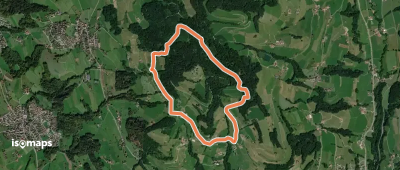 Um den Bachtel