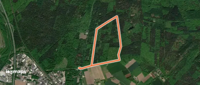 Forsthaus Haidberg Rundweg A3