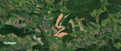 Gössenheim, blaues F auf Gelb