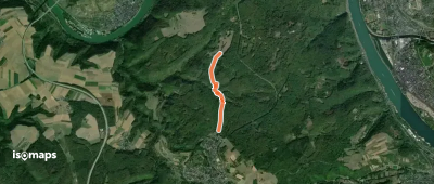 Moselhöhenweg-Verbindungsweg Koblenz-Waldesch (Hunsrück)