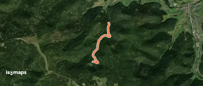 Ellbachsee - Gutellbachwegle