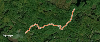 Lynx Trail