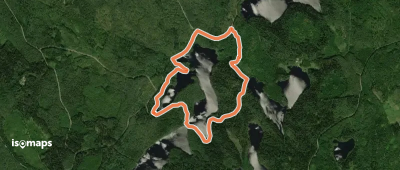 Sorsanlenkki