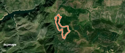 Vallejoco y Ninollas