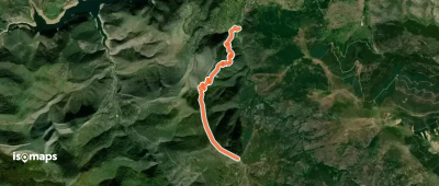 Pico Alcaste
