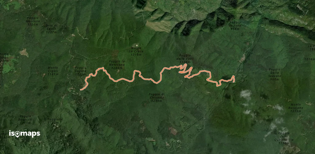 OSM Route 13216523
