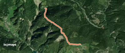 Sentieri e passeggiate a Sauris - 2C