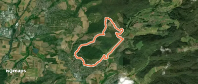 Burgen, Falken und weite Wälder