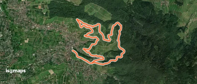 Ortenauer Weinschleife - Zeller-Abtsberg Runde