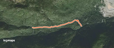 Upper Myra Falls Trail