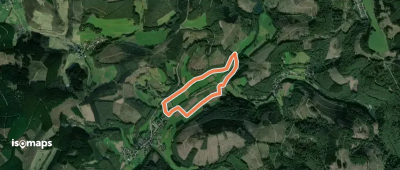 Afholderbacher Weiher Rundweg A6 - Neue Netphe