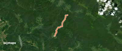 Transgraniczna ścieżka graniczna Wetlina - Rabia Skała - Runina "Nadobnica alpejska"
