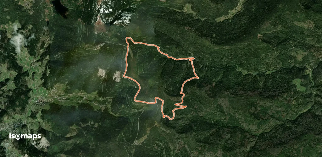 Baiersbronner Himmelsweg: Bannwald-Tour
