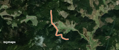 Bocksgrund - Kütschle-Ebel
