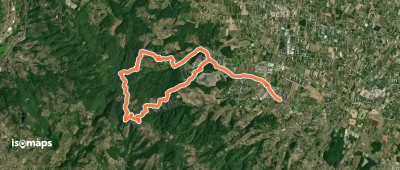 OSM Route 13342794