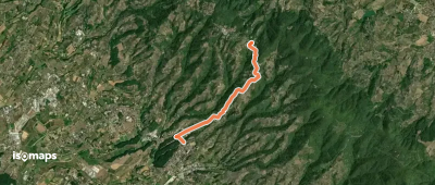 OSM Route 13342907
