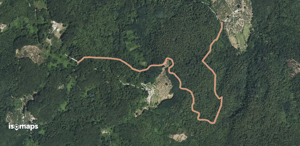 OSM Route 13342946