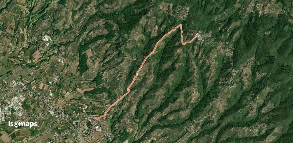 OSM Route 13343006