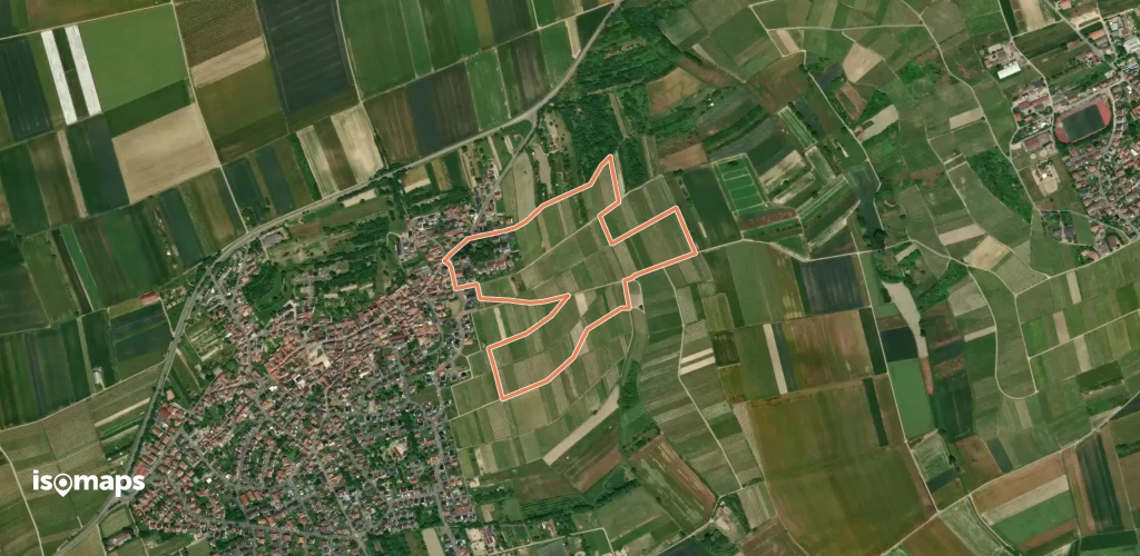 Selztal-Terroir-Runde 5