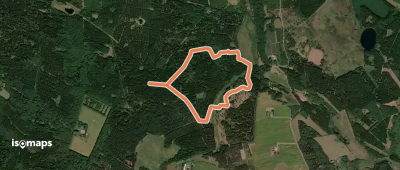 Palsgård Skov røde rute