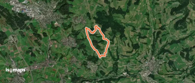 Hasenstrick