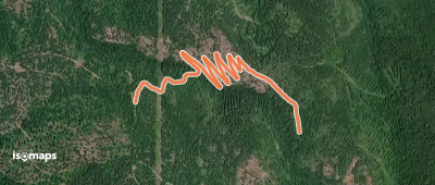 Saltese Ridge Trail
