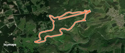 Damscheid Rundweg Fichte