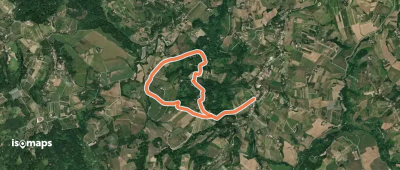 Anello dei Semplici