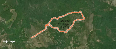 OSM Route 13438190