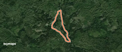Hirschgeweih