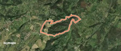 Anello della Guerrina