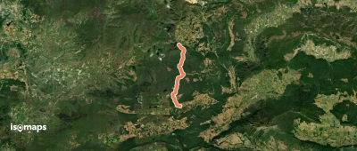 Mandazainak