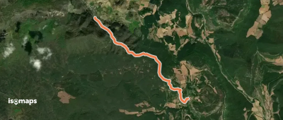 Larrabila
