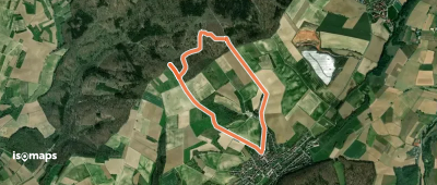 Rundwanderweg Meckesheim Salzberg 5: Mönchzell-Weg