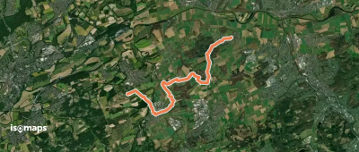 Vollquadrat Halingen - Hennen