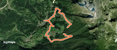 Sulle tracce del cervo