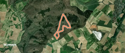 Rundwanderweg Meckesheim Salzberg 1: Trösterle-Weg