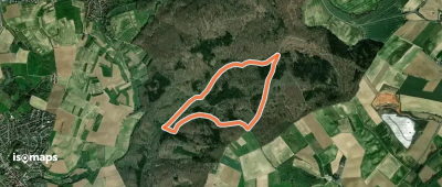 Rundwanderweg Meckesheim Salzberg 3: Heuberg-Weg