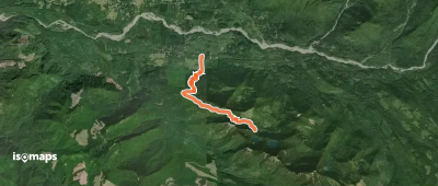 Osborne Mountain Trail #250