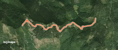Allen Mountain Trail #269