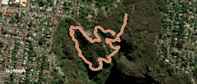 Leura Cascades Fern Bower Circuit