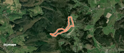 Rundwanderweg Grasellenbach Tromm 2: Ireneturm-Weg