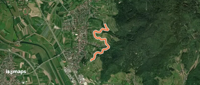 Beim Pipelisstein - Weingut Schloss Ortenberg