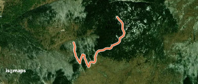 White Trail