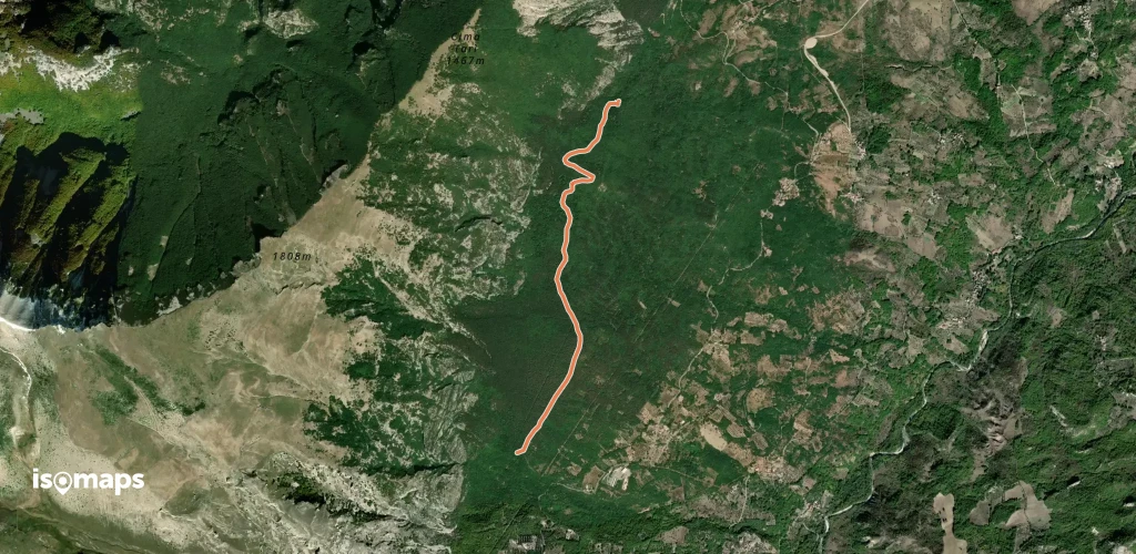 OSM Route 13703169