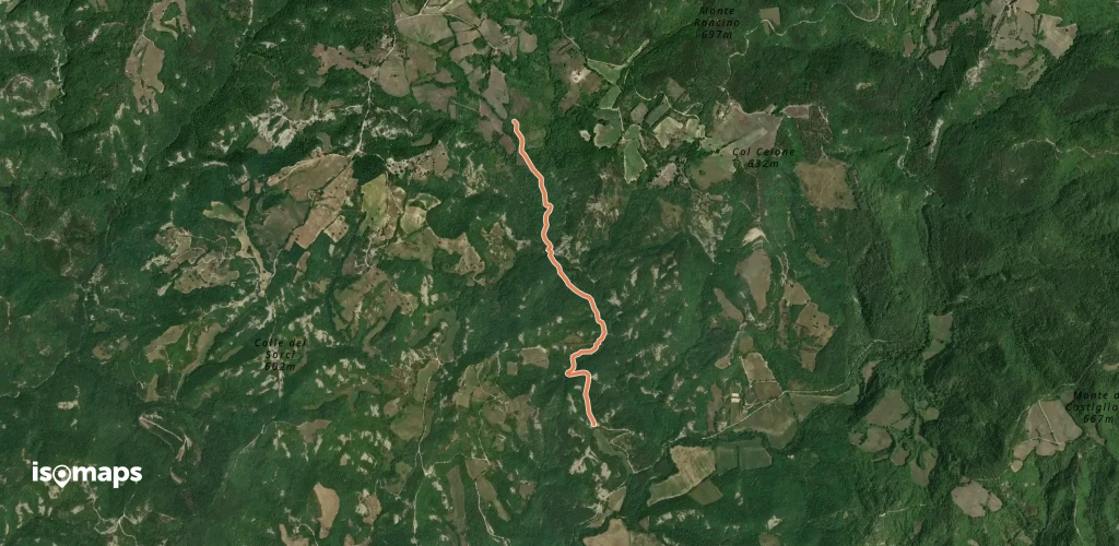 OSM Route 13714995